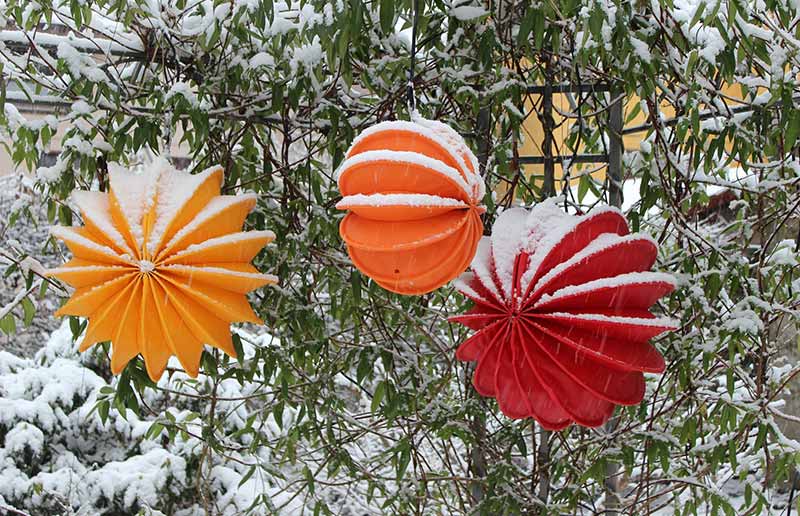 Midwinter lampionnenoptocht bij Buiten!