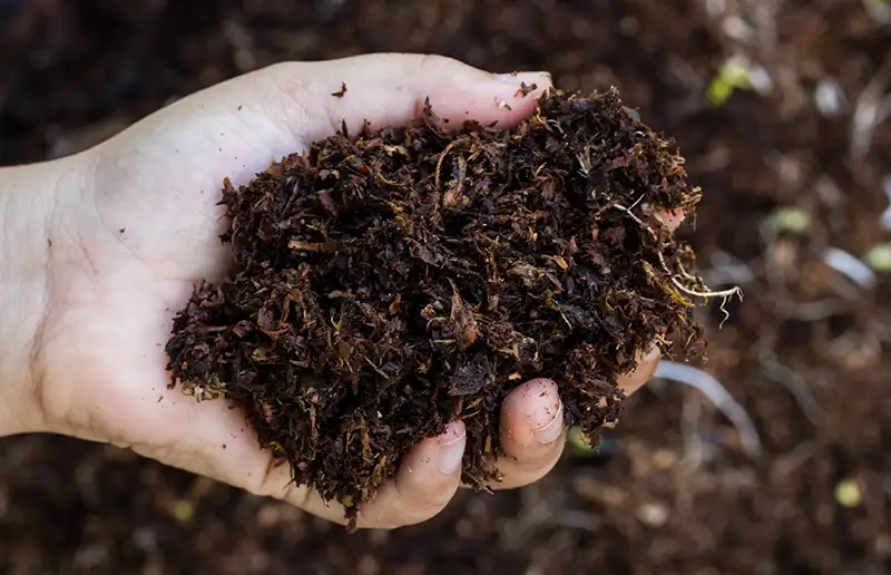 Zaterdag 23 maart gratis compost ophalen op de Milieustraat