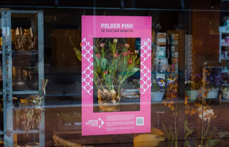 De tulp van Dronten ‘Polder Pink’ in de etalages