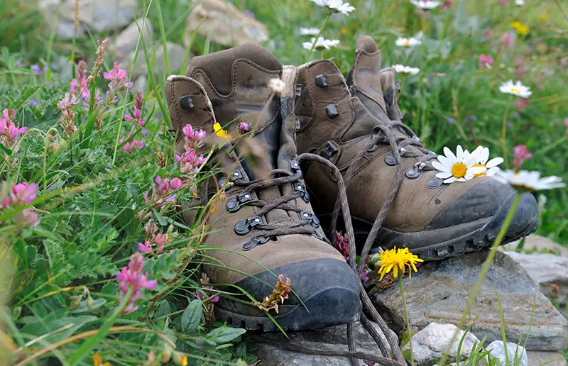 Wandelschoenen