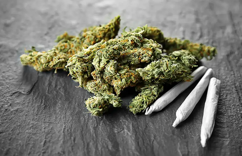 JOVD Flevoland roept op om draagvlak onderzoek coffeeshop te steunen