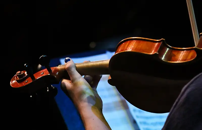 Meerpaal Live: laat je betoveren door de viool en de harp