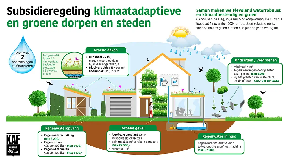 Infographic Subsidie groene daken