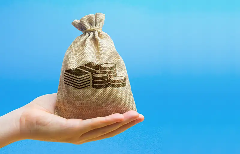 Nieuwe Subsidieregeling gemeente Dronten