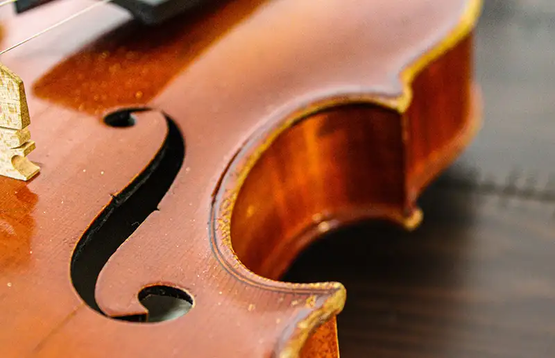 Zondagmiddag 4 februari Huiskamerconcerten in Dronten Noord