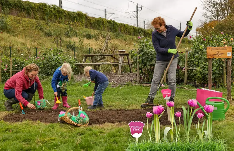 Polder Pink kleurt Dronten roze