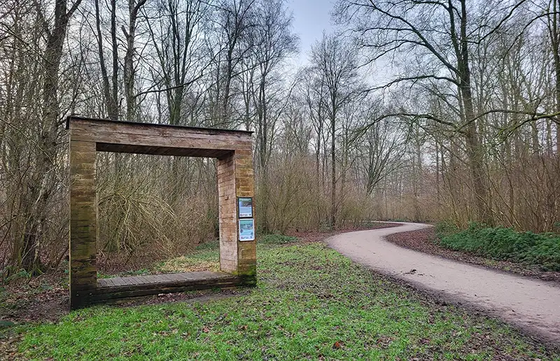 Vrijwilligers gezocht voor een groenere toekomst van het Wisentbos