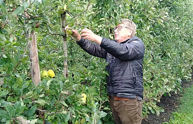 Help mee: appelpluk voor voedselbank