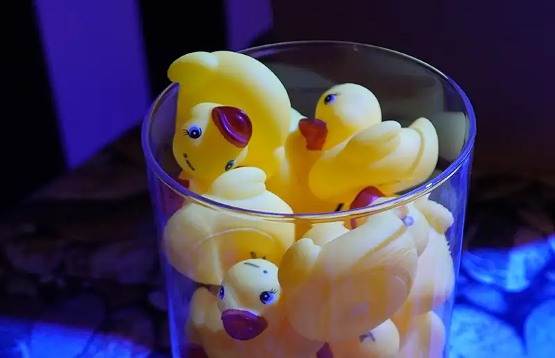 Onze Dorpskwis 2026 van start met instructiemiddag in De Meerpaal