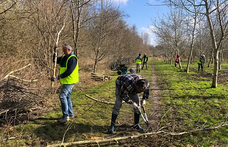 Vrijwilligers gezocht voor het Wisentbos tijdens NLdoet