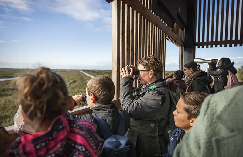 Vogels op reis centraal tijdens Wereldtrekvogeldag in Nationaal Park Nieuw Land