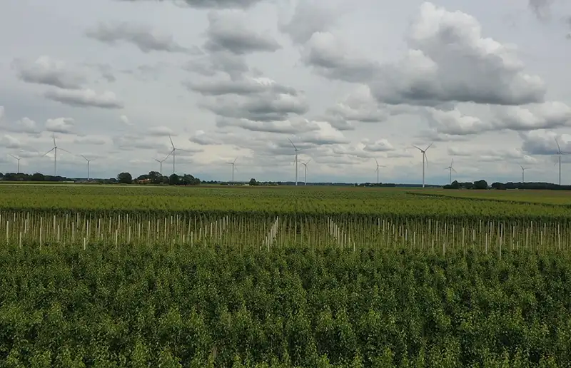 Flevoland Bloeit laat zien hoe landbouw en natuur elkaar kunnen versterken