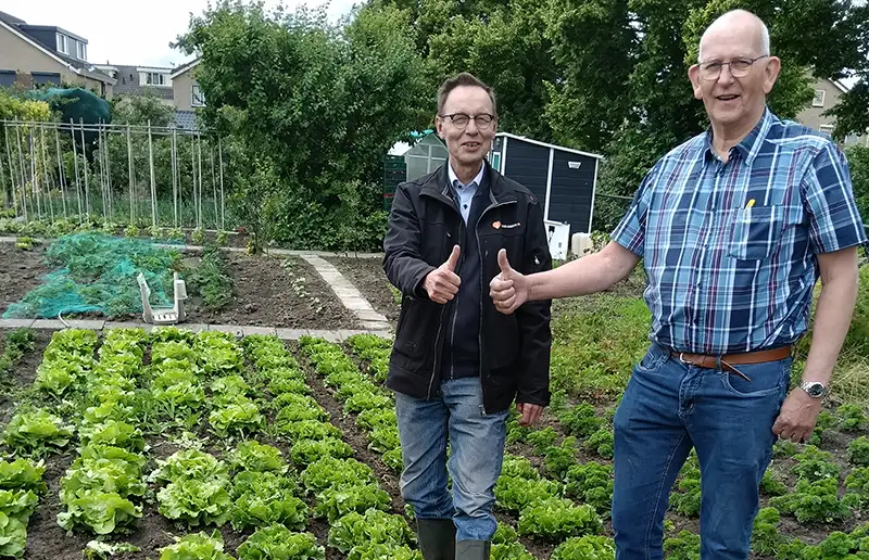 Eerste oogst voor voedselbank is binnen: ‘Zo vers koop je het niet in de supermarkt’